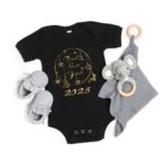 Baby Gear Must Haves to Shop Online in 2025